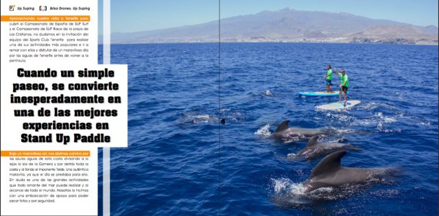 Artículo Stand Up Paddle con delfines y ballenas