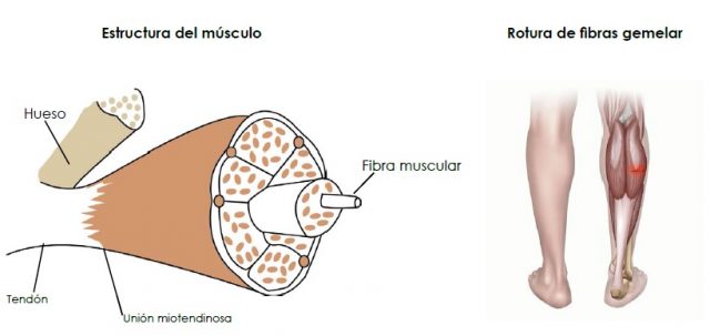 sin-titulo