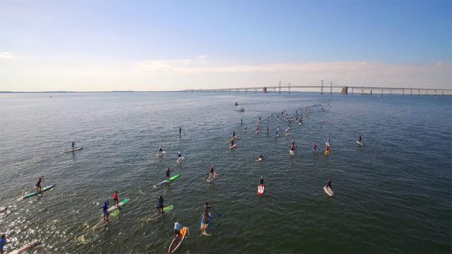 Bay Bridge Paddle. circuito Paddle League 2018