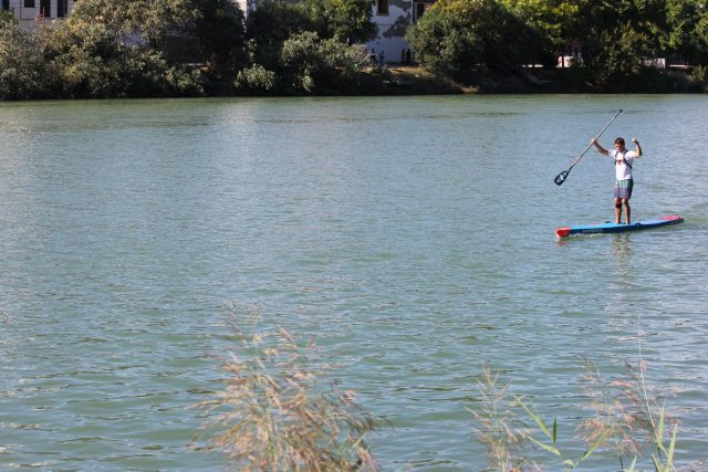 Rafa Sirvent ganador larga distancia. 2º edición del Sevilla SUP Festival